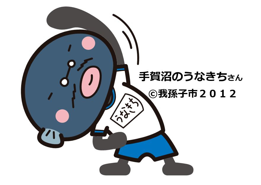 手賀沼のうなきちさん©我孫子市２０１２